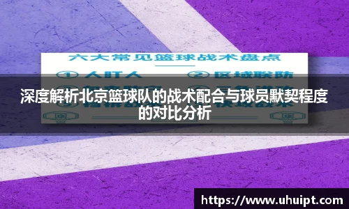 深度解析北京篮球队的战术配合与球员默契程度的对比分析
